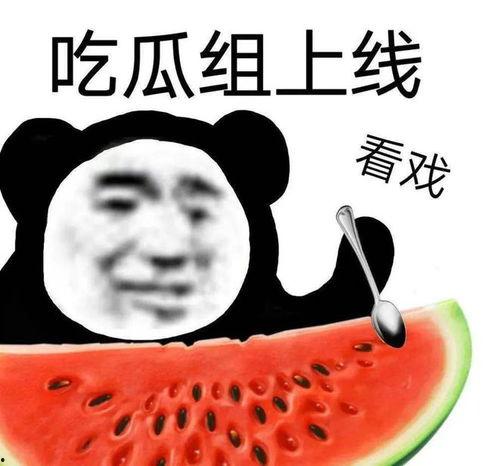 黑料吃瓜51,娱乐圈背后的真相大曝光