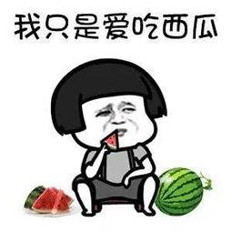 吃瓜娱乐儿